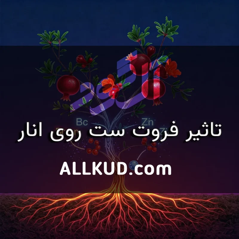 تاثیر کود فروت ست روی انار