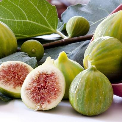 کود پتاس بالا برای درخت انجیر