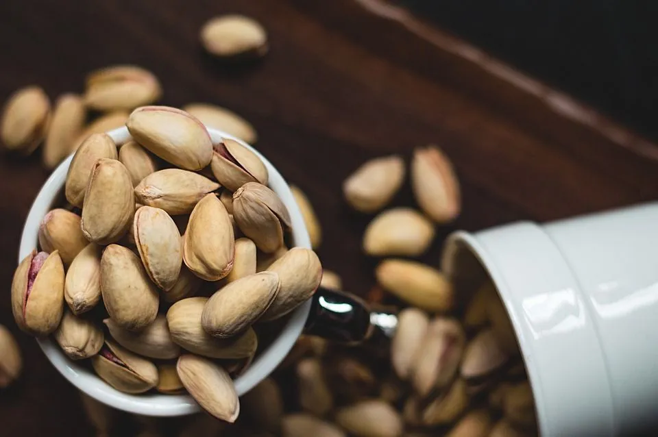 طول عمر درخت پسته چقدر است؟