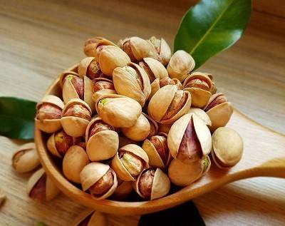 کاشت درخت پسته با استفاده از روش چاله کنی