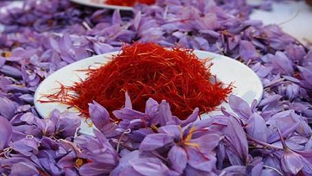 درآمد کاشت زعفران در منزل