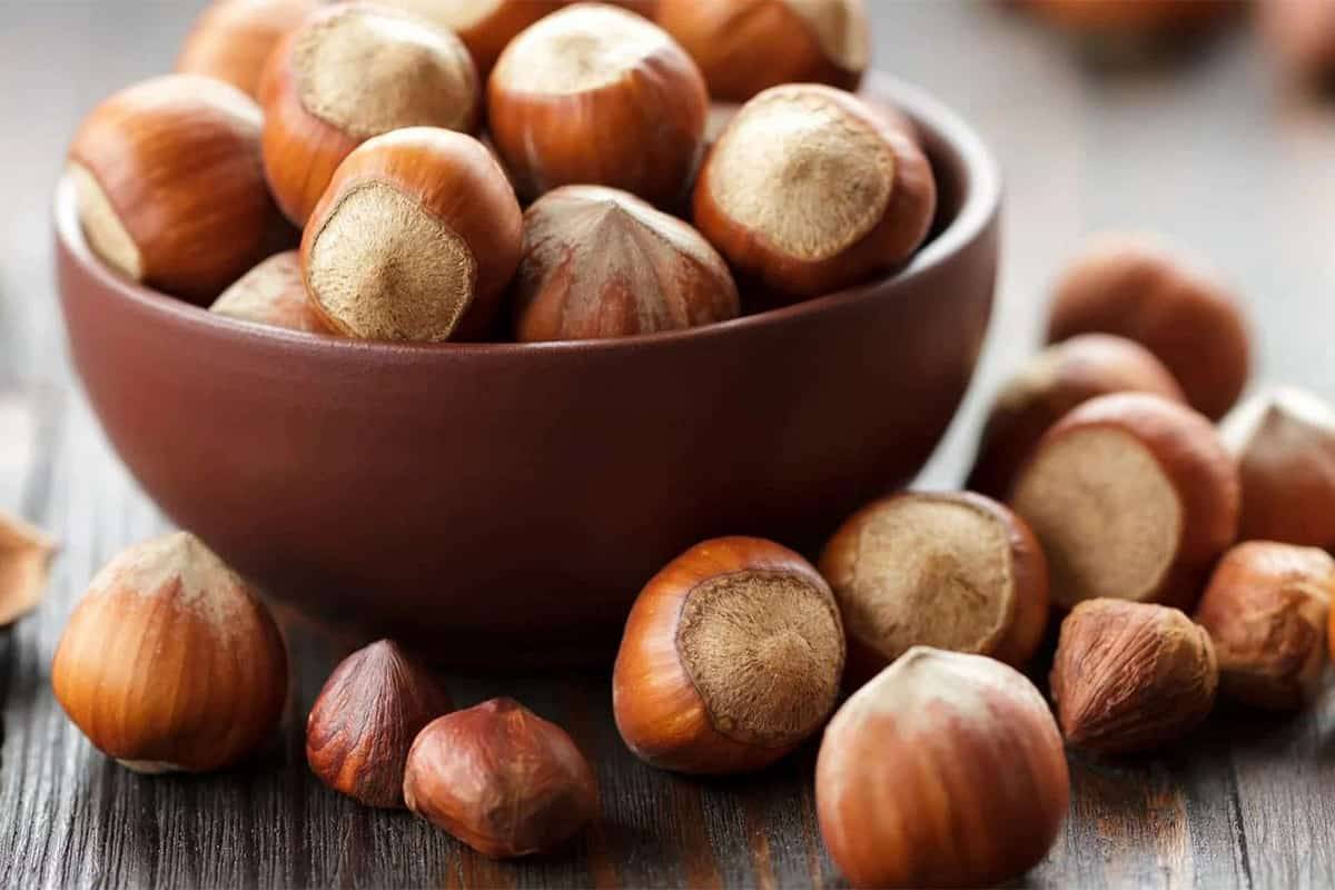 کود 10-52-10 برای درخت فندق