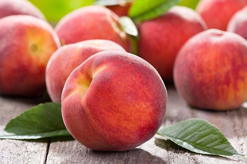 کود ۱۰ ۵۲ ۱۰ برای درخت هلو