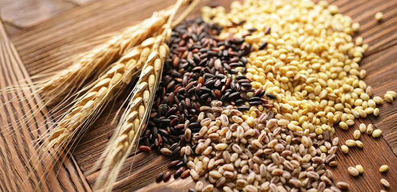 بهترین کود برای زراعت گندم