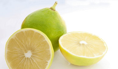کود k60 برای درخت لیمو شیرین