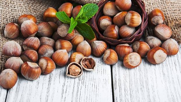 کود مخصوص برای درخت فندق
