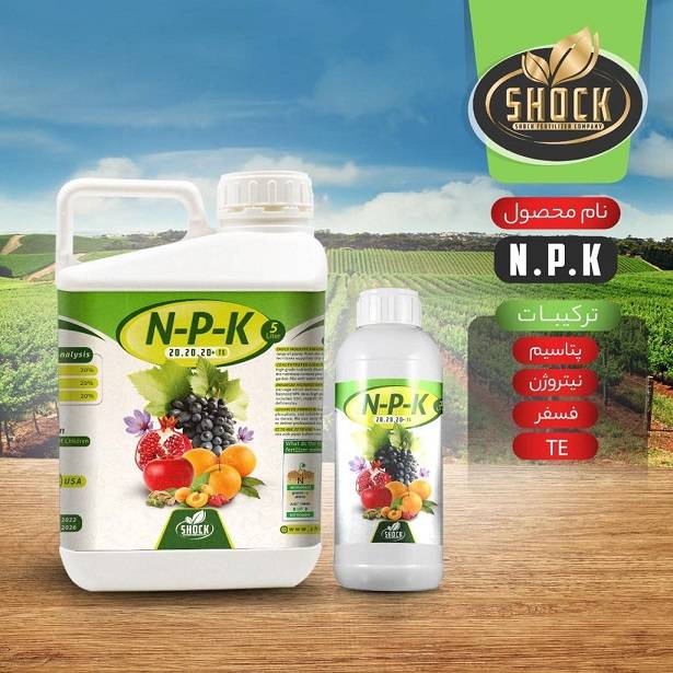 کود NPK مناسب برای درخت انگور