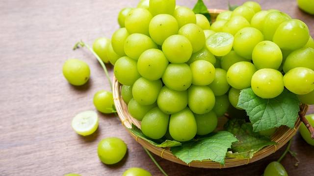 کود 36 12 12 برای درخت انگور