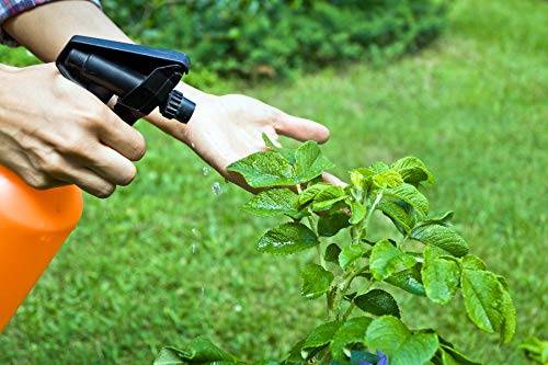 کود مرغی مایع برای پسته