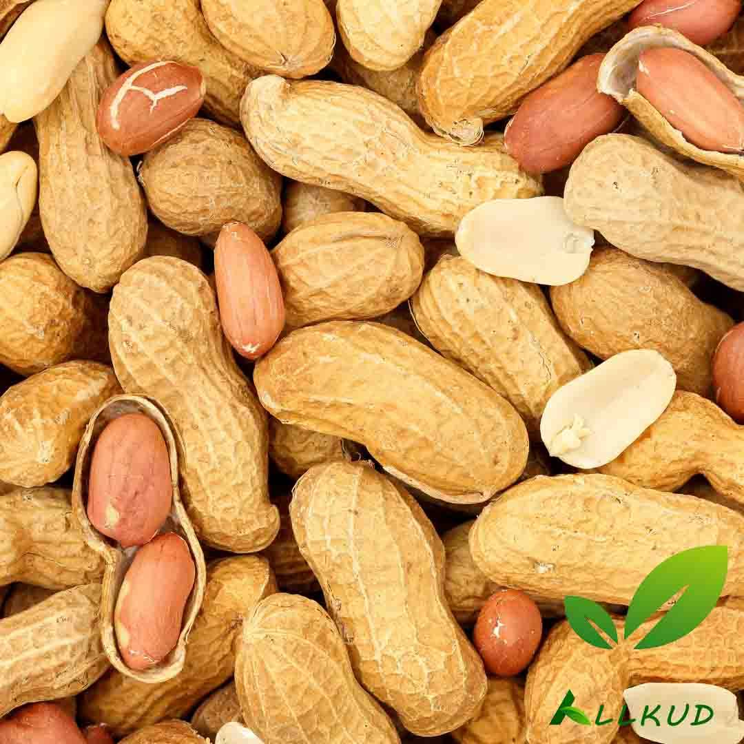 بهترین کود برای بادام زمینی