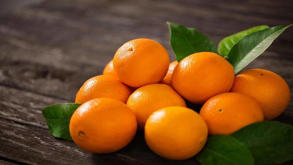 افزایش باردهی درخت پرتقال