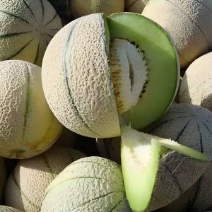 نمای نزدیک از بافت آبدار و شیرین یک طالبی که با کود 10-52-10 تغذیه شده است