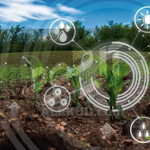 ترکیب هیومیک اسید با جلبک دریایی