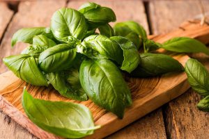 کود برای رشد سریع ریحان