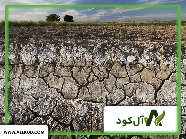 تاثیر گوگرد بر روی شوری خاک چگونه است؟