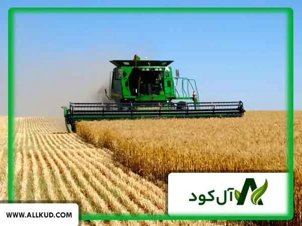 بیماری‌های مزارع گندم