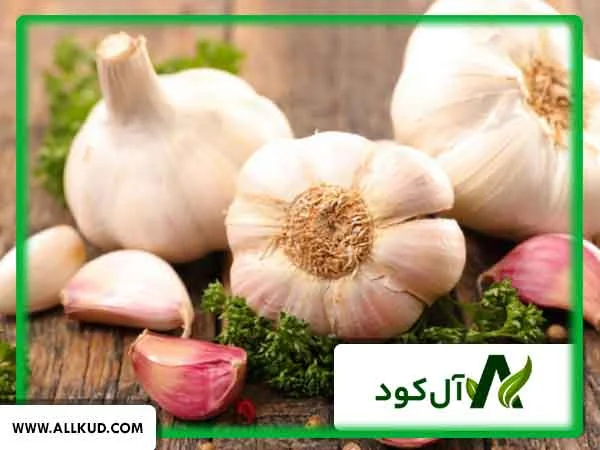 تاثیر شگفت انگیز کود آهن بر روی گیاه سیر