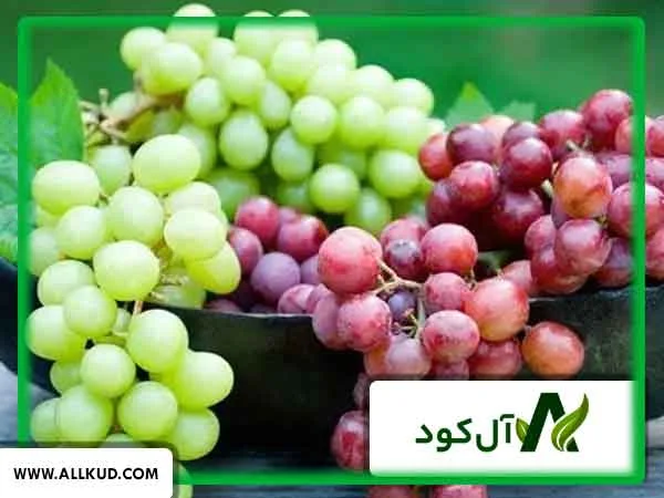 برنامه غذایی درخت انگور