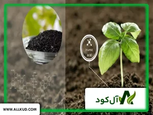 مصرف زیاد هیومیک اسید