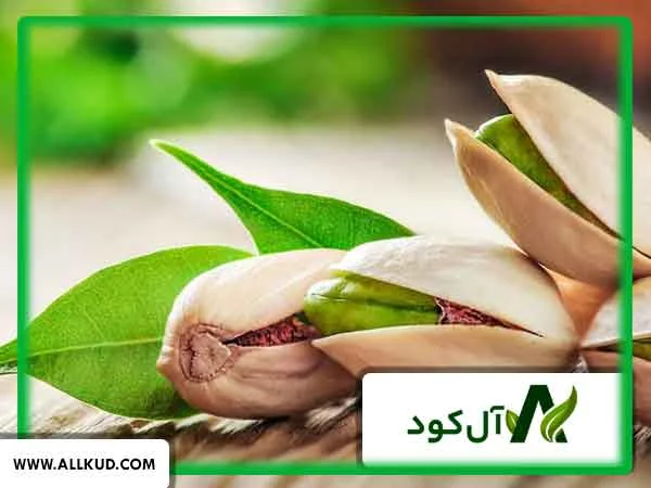مزایای استفاده از کود آهن در برنامه غذایی درختان پسته