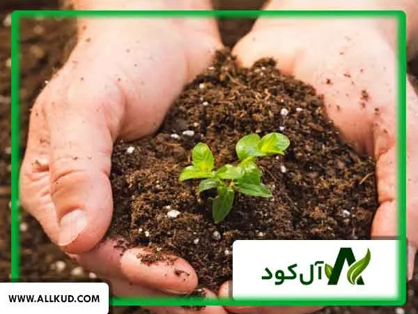 نانو کود یا کودهای کلاته