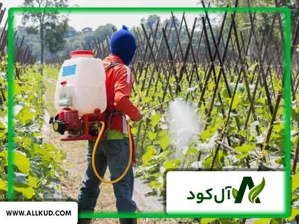 تاثیر محلول پاشی با پهپاد بیشتر است یا سم پاشی کوله‌ای