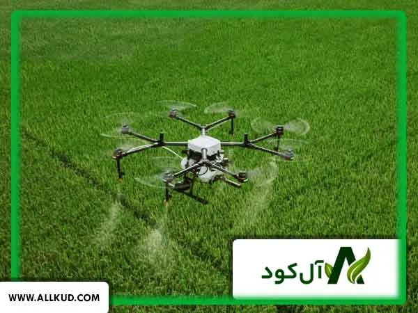 تاثیر محلول پاشی با پهپاد بیشتر است یا سم پاشی کوله‌ای