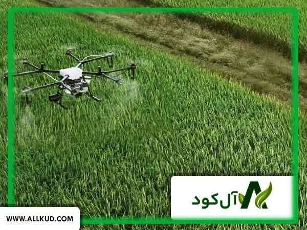 تاثیر محلول پاشی با پهپاد بیشتر است یا سم پاشی کوله‌ای
