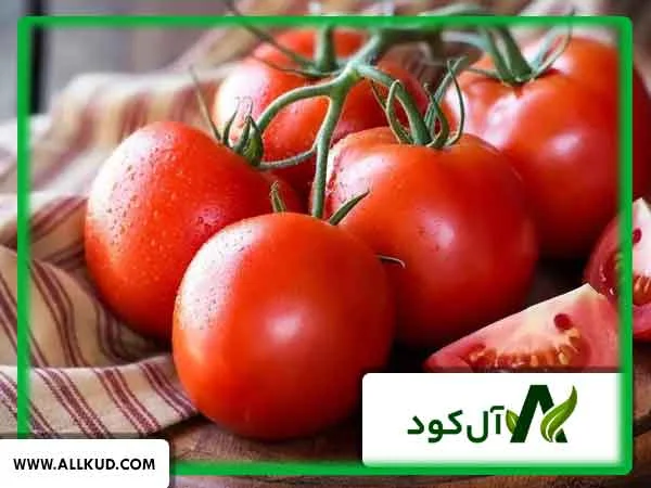 علت سیاه شدن انتهای گوجه فرنگی