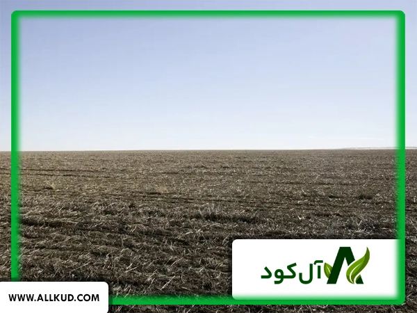 آیش به چه معنا است