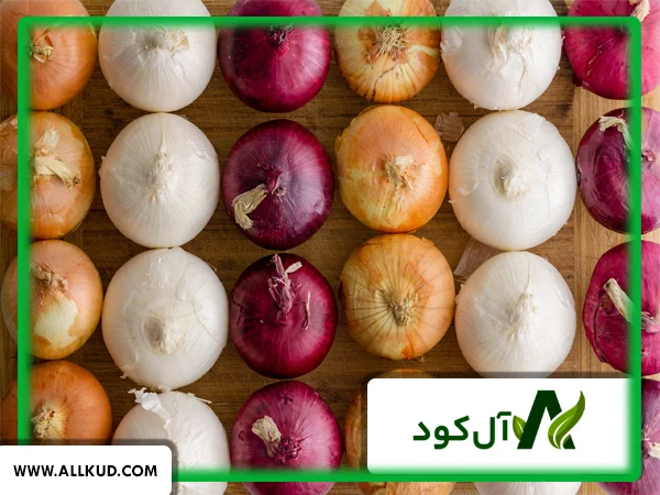 نقش فسفر در درشتی پیاز