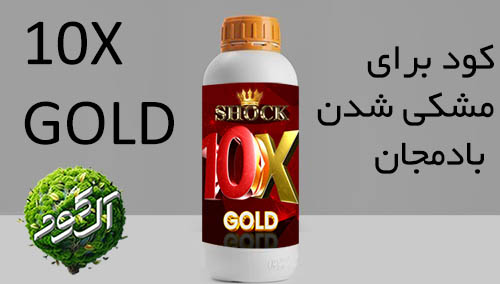 بهترین کود برای مشکی شدن بادمجان استفده از شوک ده ایکس گلد است