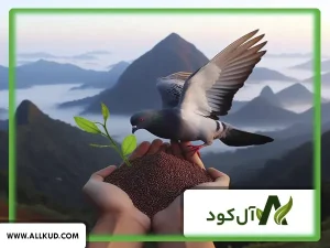 شیرابه کود کبوتر چیست؟