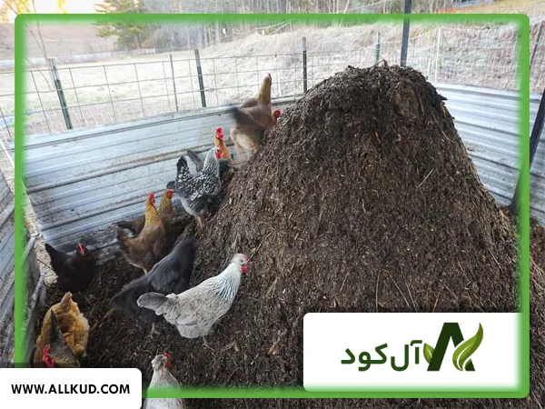 شیرابه کود کبوتر چیست؟