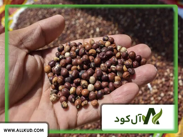 شیرابه کود کبوتر چیست؟