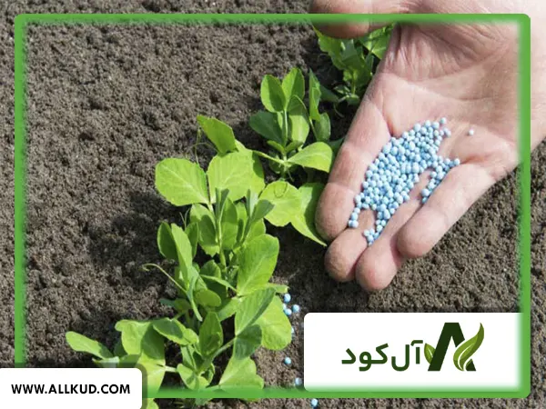 کود آمینو اسید و جلبک دریایی
