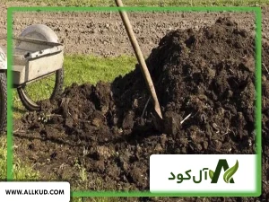 مقدار کود حیوانی برای هر درخت چه میزان است؟