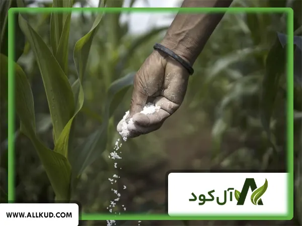 کود سه بیست برای چه گیاهانی مناسب نیست؟