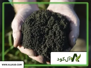 طریقه مصرف کود آهن پودری