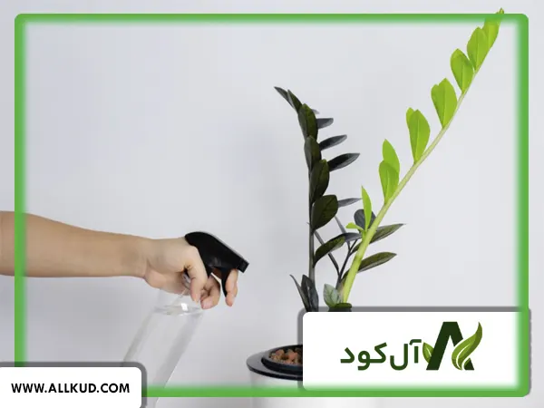 طریقه استفاده از کود سه بیست برای گل‌های آپارتمانی
