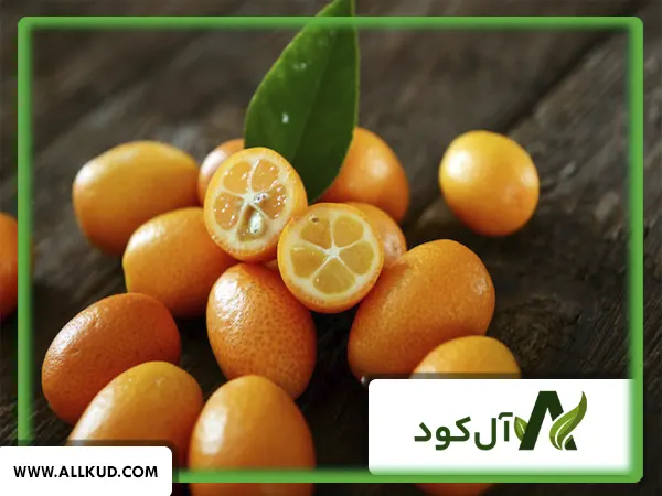 همه چیز درباره درخت کامکوات ، نحوه کاشت و نگهداری