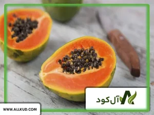 همه چیز درباره درخت پاپایا ؛ نحوه کاشت و نگهداری