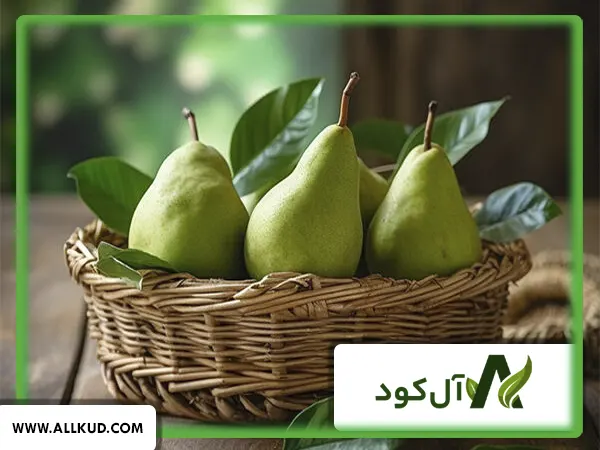 کوددهی درخت گلابی توسط کود کامل