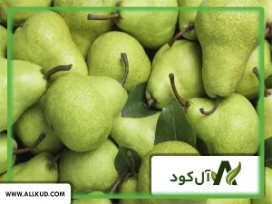 بهترین کود برای افزایش باردهی درخت گلابی