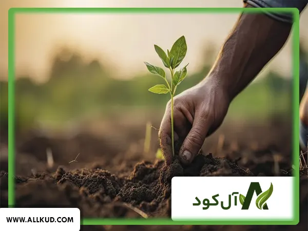 بهترین روش استفاده از کود 10 X gold شوک
