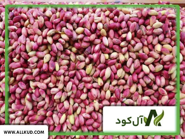 زمان مصرف کود فسفر بالا برای درخت پسته