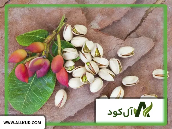راه‌های افزایش تناژ پسته سفید
