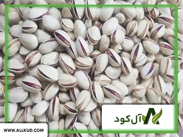 راه‌های افزایش تناژ پسته سفید