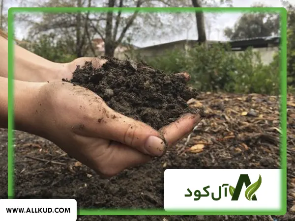 چه کودهایی را باید با هیومیک اسید ترکیب کرد تا بهترین تاثیر را داشته باشند؟