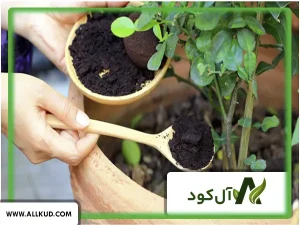 چه کودهایی را باید با هیومیک اسید ترکیب کرد تا بهترین تاثیر را داشته باشند؟